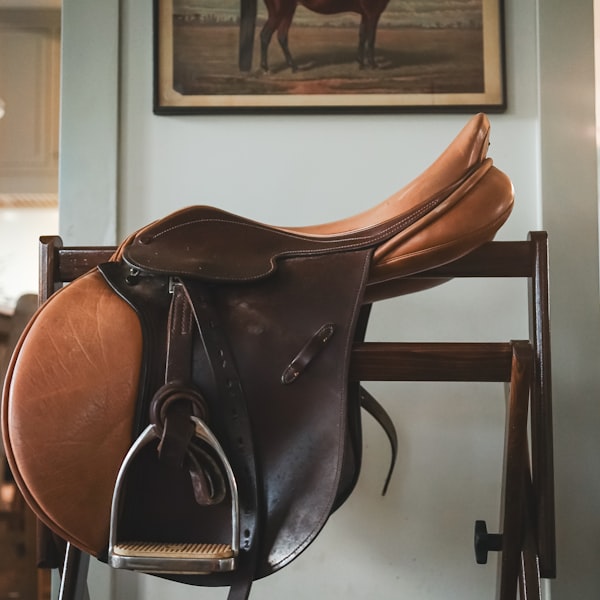 All-Purpose Saddle
